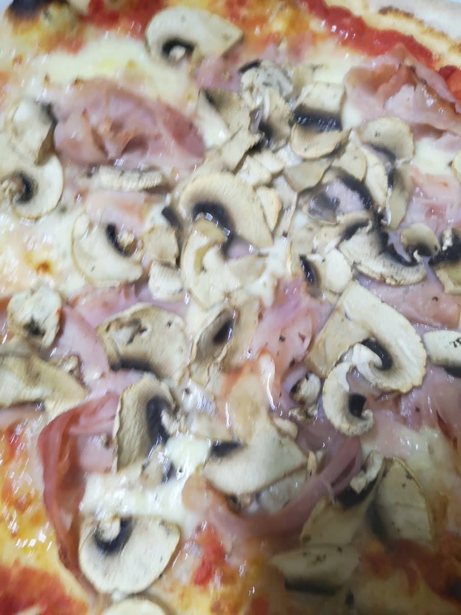 La Stella Dei Principi-6