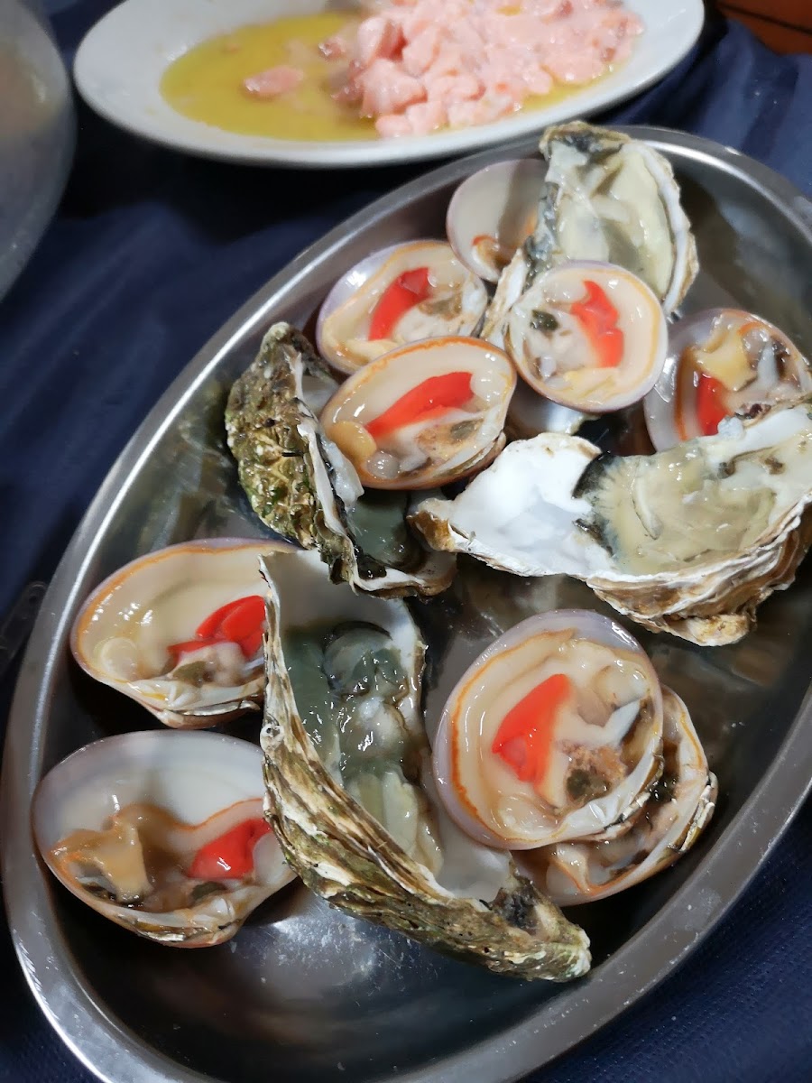 La Stella Dei Principi-8